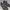 Yeezy Luxury Sportswear Sneakers Pria Black