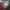 Epiphone SG-400 Standard Cherry Red photo 4