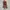 Rare Y2k Grunge Emo Goth Sling Bag Leather Squirrel fur photo 2