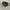 Rare Oakley Software 5 Panel Duffle Bag Double Icon  photo 1