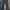 Dickies Dark Brown Carpenter Pants photo 3