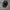 Espionage N37 56 Nylon Cap Black Unisex 