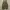 Cargo beams heart army photo 1
