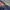 FUBU Vintage Y2K Jersey Pria navy red photo 3