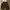 Hotel cargo shorts (Private list) photo 3