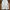 New Balance Sportswear Hoody Pria multicolor photo 1