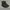Converse Chuck Taylor Hi Top Outsider Boots in Charcoal photo 4