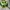 Streetwear Y2K Bag Pria green khaki photo 3