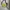 Streetwear Y2K Bag Pria green khaki photo 1