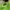 Streetwear Y2K Bag Pria green khaki photo 4
