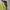 Streetwear Y2K Bag Pria green khaki photo 2