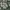 Asics Gel GT 2160 Winter Garden bukan Cecilie Bahnsen photo 1