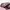 Streetwear Sportswear Sweatpants & Joggers Wanita white pink photo 3