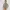 Denim & Supply - Field M-65 Jacket - Olive Green - Size L fi photo 1