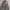 Denim & Supply - Field M-65 Jacket - Olive Green - Size L fi photo 4