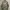 Denim & Supply - Field M-65 Jacket - Olive Green - Size L fi photo 5