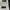 Ralph Ralph Lauren x Dillard’s x Blazer - Charcoal - Size XL photo 5