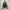 Six Star Fur Puffer Jacket — 2000s Vkei Archive Japanese  photo 2
