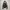 Six Star Fur Puffer Jacket — 2000s Vkei Archive Japanese 