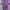 Jersey Nogizaka46 Name set Saito Asuka Original Size Large photo 1
