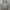 Stone Island Casual Hoody Pria Gray