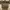  Signature Bradshaw Small Convertible Shoulder Bag Preloved photo 1