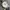 Seiko Mid Size  photo 5