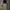-gemme- Asymmetrical Skirt photo 2
