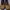 Timberland GreenStride Motion 6 Mid Lace photo 3