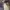 Michael Kors Luxury Casual Tote bag Wanita gold white photo 8
