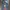 Jeans big train big logo  photo 3