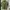 Polo Ralph Lauren Streetwear Casual Polo shirt Pria green photo 1