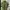 Polo Ralph Lauren Streetwear Casual Polo Shirt Pria Green