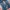 • " EDWIN 503 " EDWIN BOOTCUT VINTAGE BLUE FEEDING JEANS • photo 9