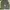 Baggy cargo brended GU photo 1