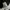 The North Face Sportswear Track jacket Pria black photo 6