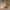 Converse Casual Sneakers Pria orange photo 2