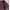OUTERWEAR IMPOR photo 5