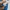 The North Face Sportswear Sweatshirt Pria blue photo 5