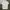Polo Shirt Ralph Lauren White photo 1