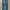 Levi’s 527 Low Bootcut Jeans