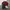Polo Shirt Ralph Lauren Maroon photo 2
