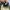 Vans Old Skool Velcro photo 6