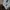 Crewneck Vintage Kodak Proffesional photo Original photo 6