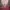 Coquette Casual Maxi dress Wanita white pink photo 1