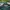 New Era Streetwear Sportswear Hat Pria green photo 4