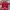 Polo Uni Qlo