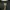 boothleg indo T shirt Dido thank you photo 4