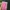 Explicit Love Story – Lee Gyung Sae photo 1