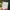 Explicit Love Story – Lee Gyung Sae